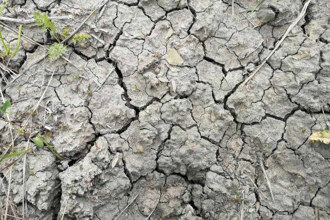 Zunehmende Dürrephasen führen auch zu ausgetrockneten Böden - Foto: NABU